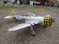 DSC00784.JPG